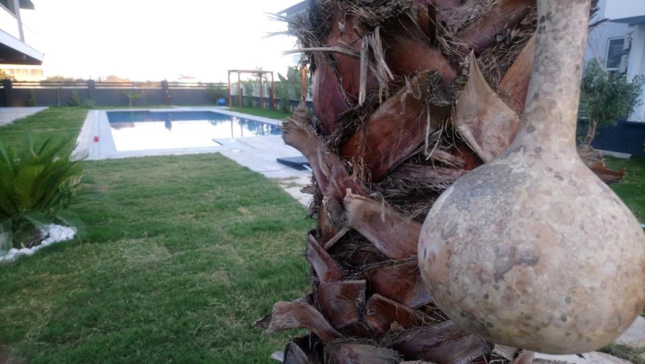 Mali Garden * Side